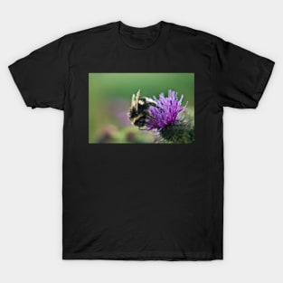 Scruffy Old Bumble Bee macro T-Shirt